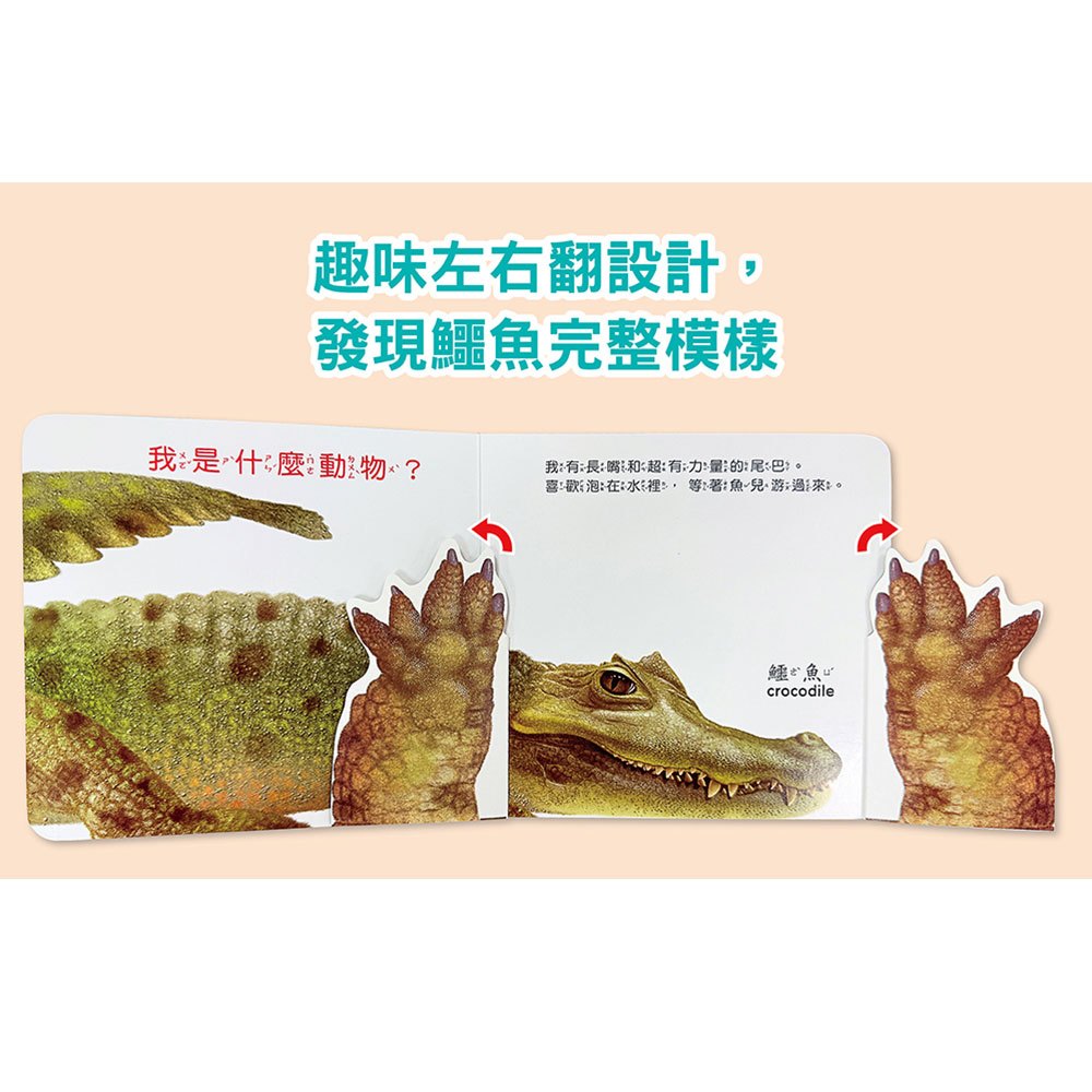 感官探索形狀認知書【全套8冊】