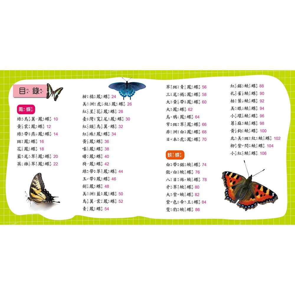 蝴蝶小百科