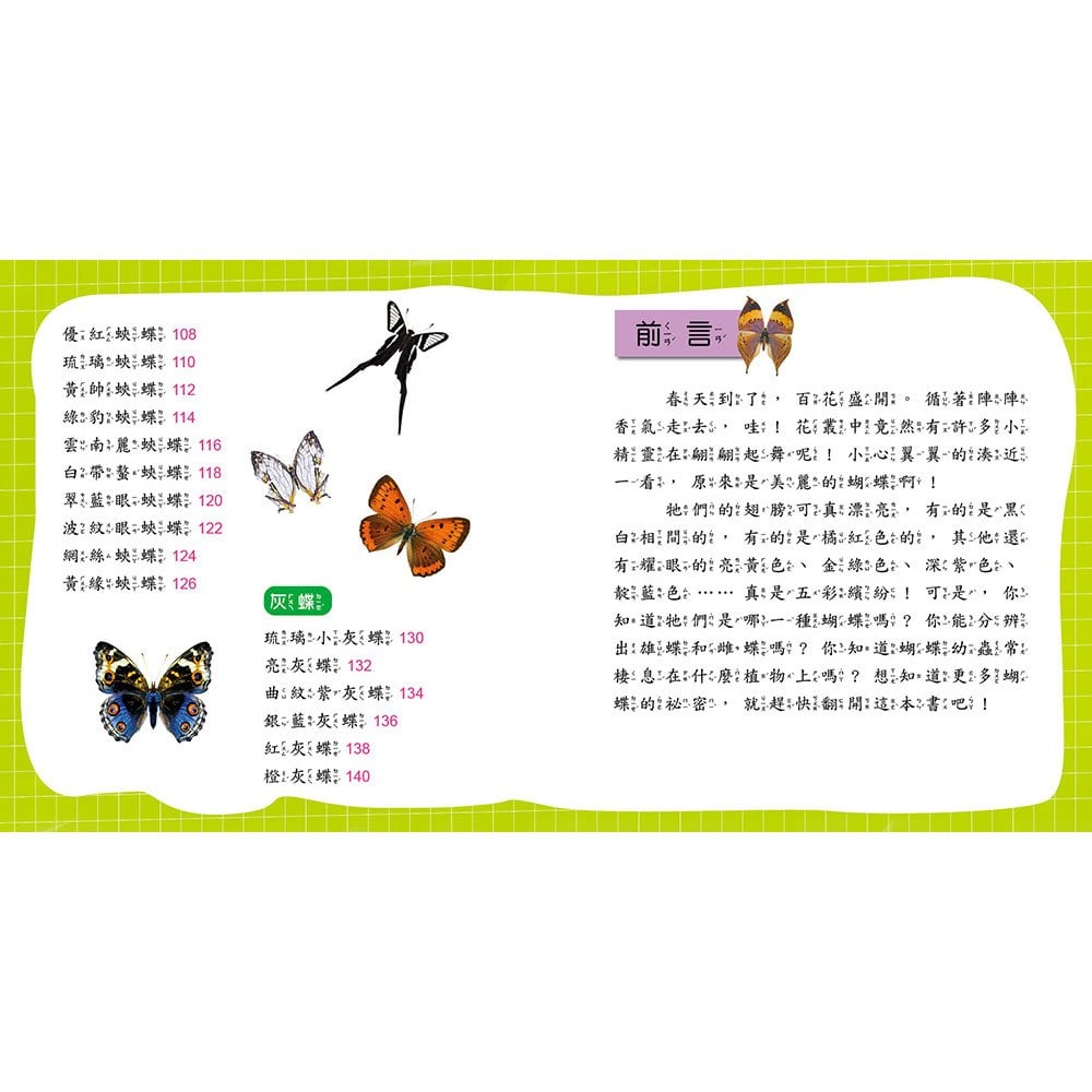 蝴蝶小百科