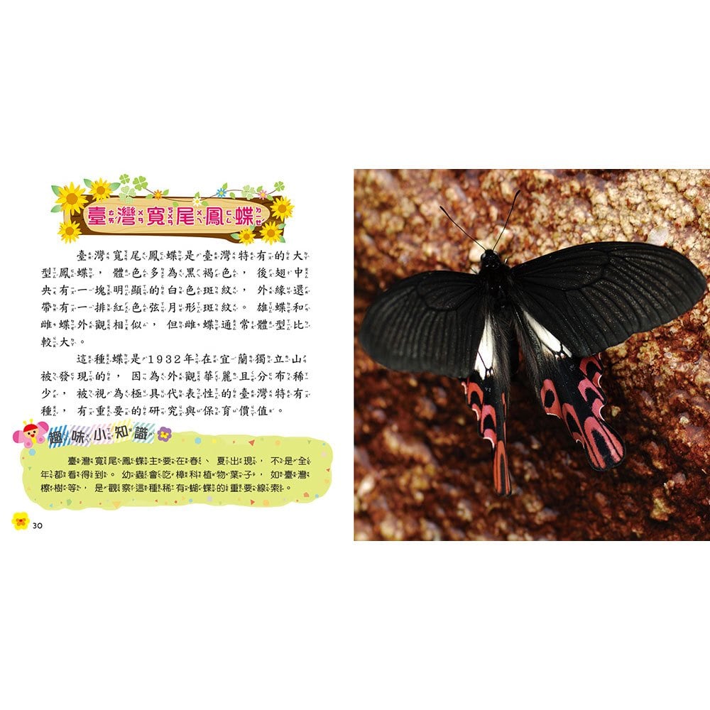 蝴蝶小百科