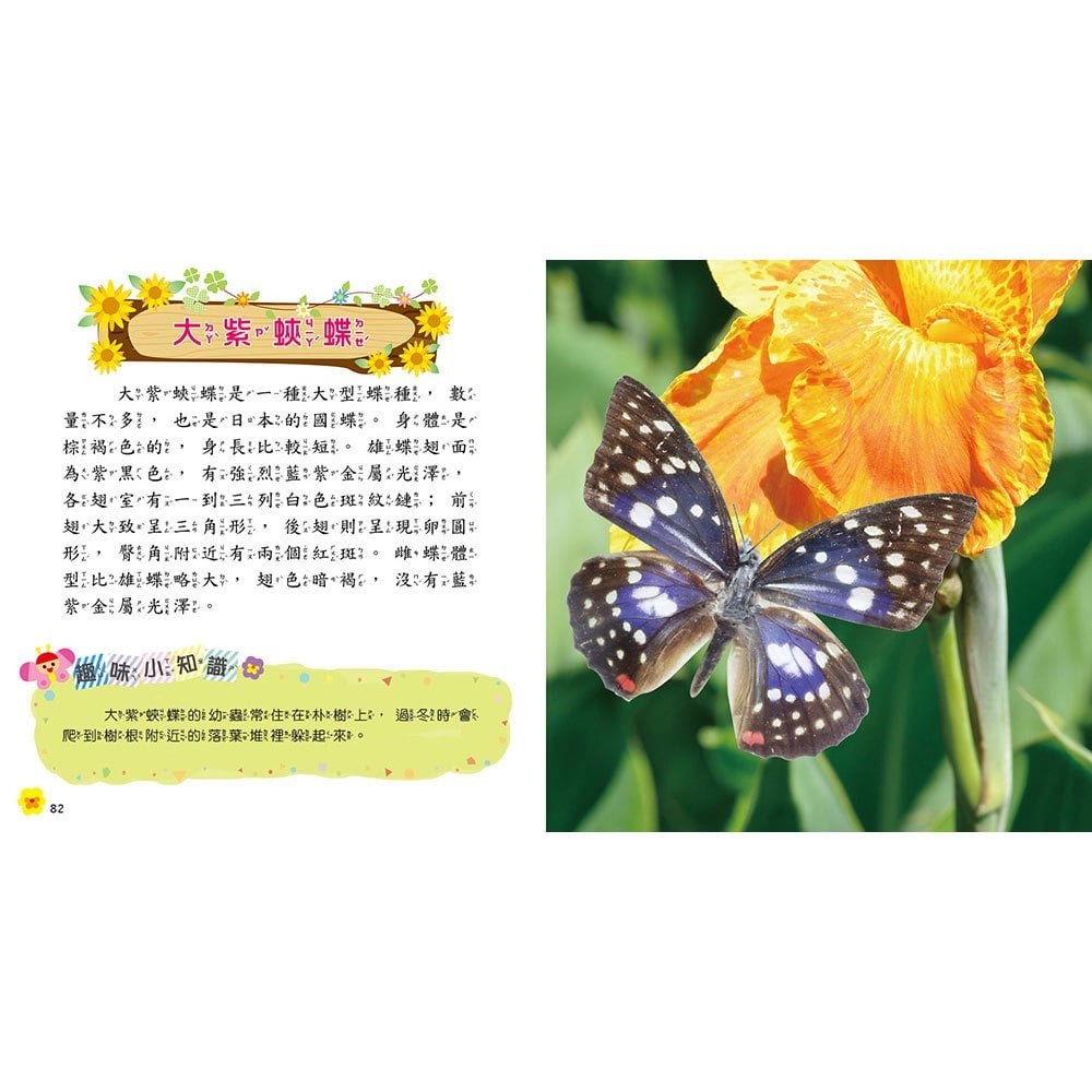 蝴蝶小百科