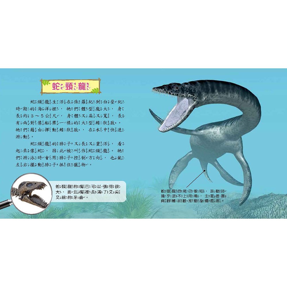 史前動物小百科