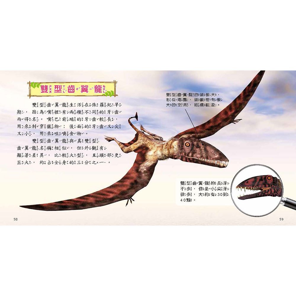 史前動物小百科