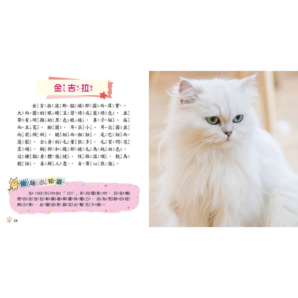 貓咪小百科