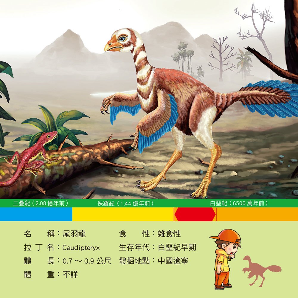 恐龍小百科