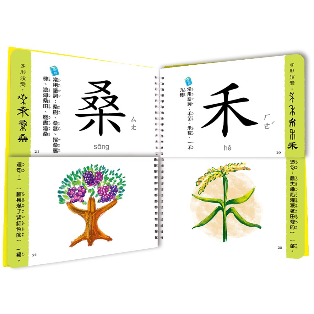 兒童看圖學漢字：這樣認字好好玩【讓孩子看圖認字，運用聯想力，學會100個字】