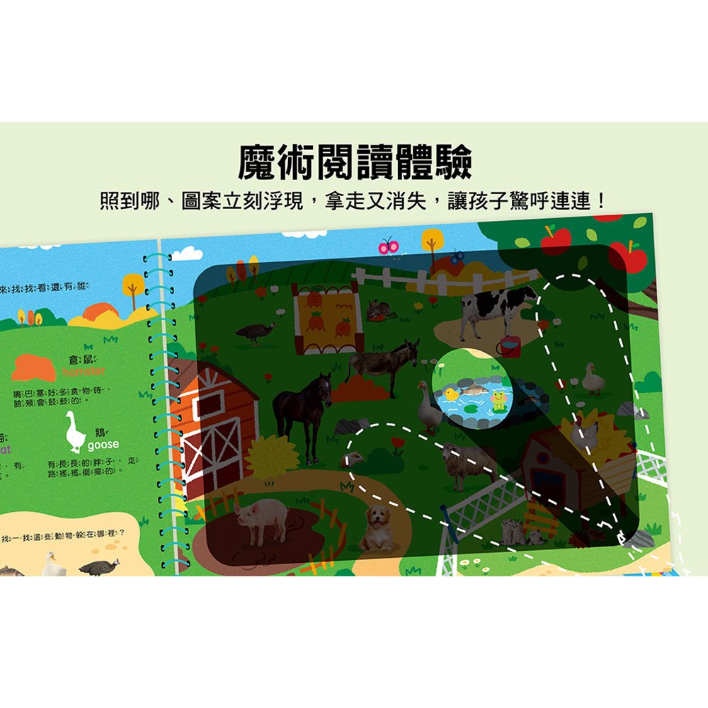 神奇手電筒遊戲書:吼吼~發現囉,世界動物出來玩