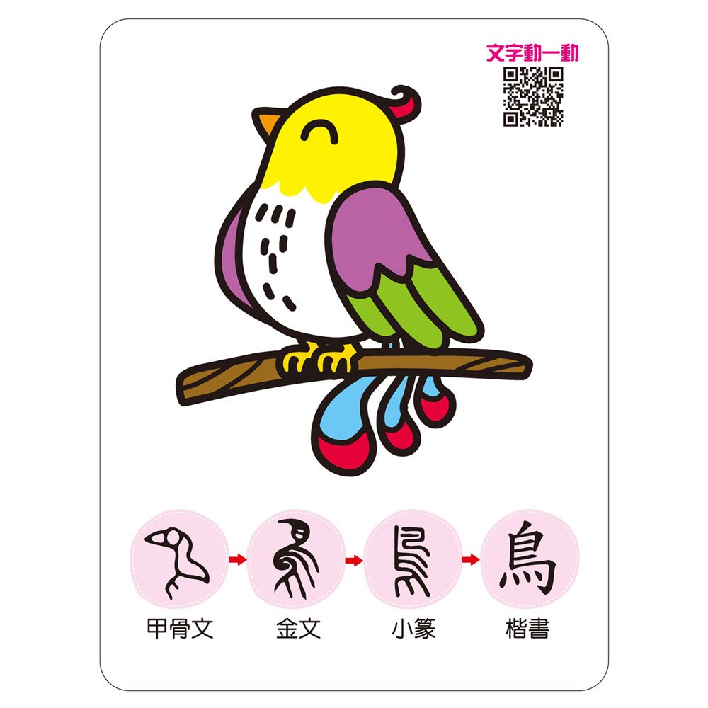 記憶認字圖畫卡:動物植物