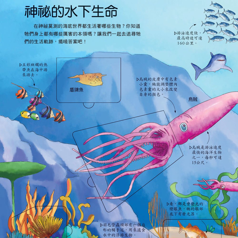 探祕海洋世界【VR+AR互動魔法書】(內含厚紙翻翻大百科+超值贈送DIY VR虛擬實境眼鏡)