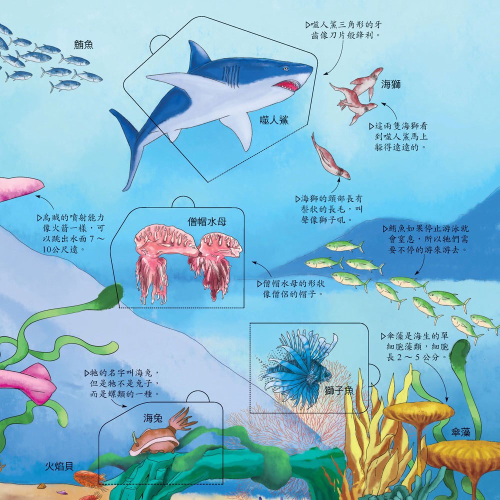 探祕海洋世界【VR+AR互動魔法書】(內含厚紙翻翻大百科+超值贈送DIY VR虛擬實境眼鏡)