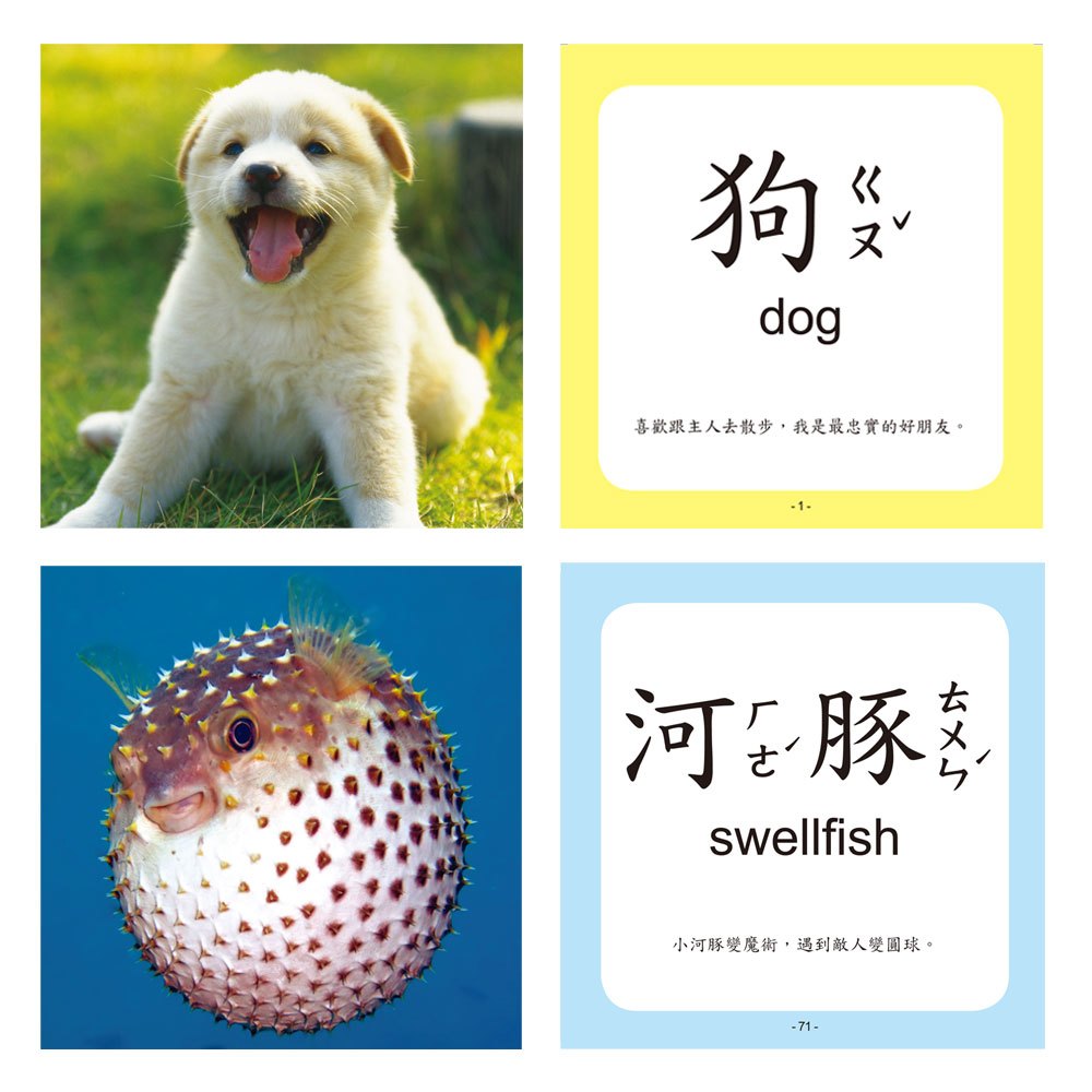 Baby's100張全方位圖卡-動物王國