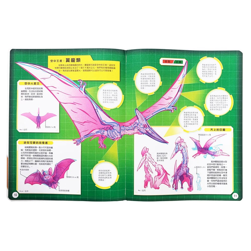 恐龍大透視:濾鏡百科遊戲書(內附神奇雙色透視濾鏡,可顯現出不同圖案!)