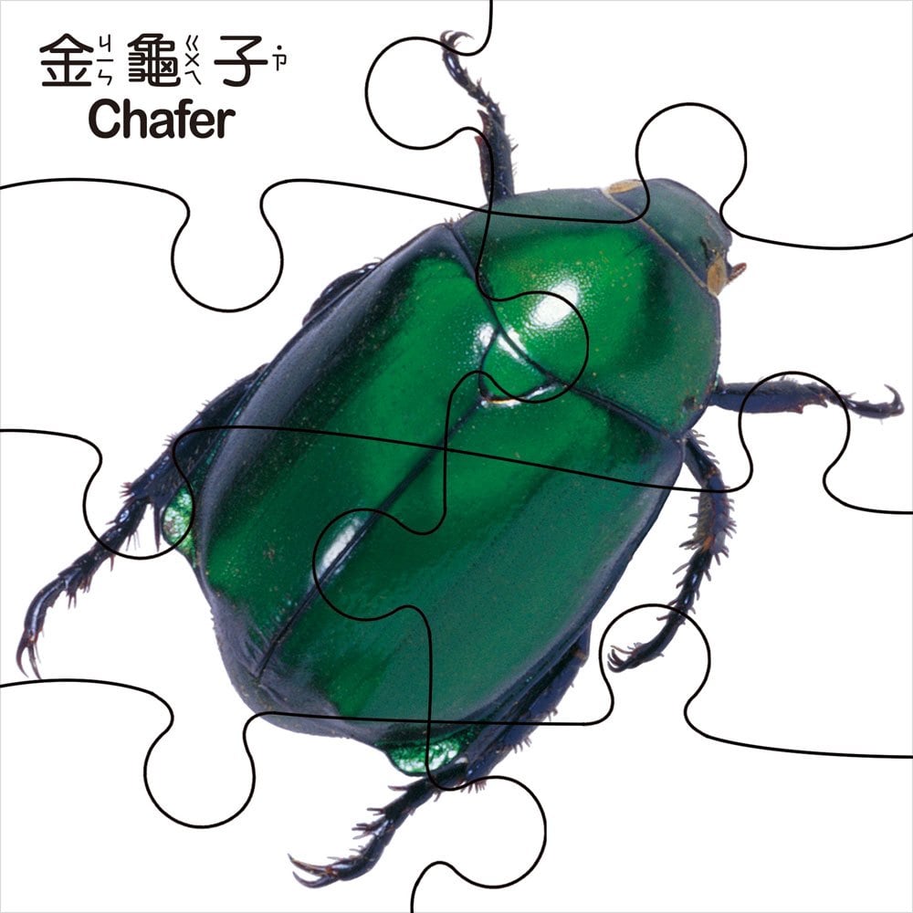 Baby遊戲小拼圖-昆蟲世界