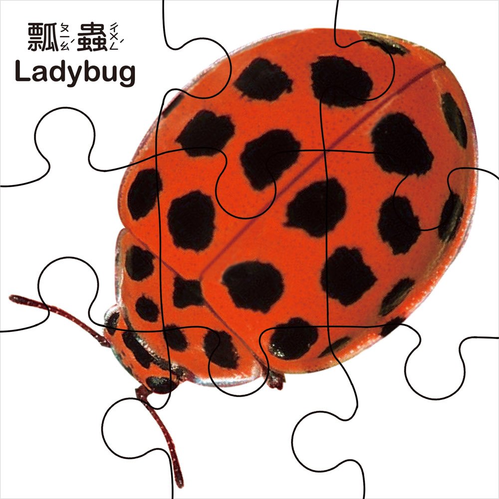 Baby遊戲小拼圖-昆蟲世界