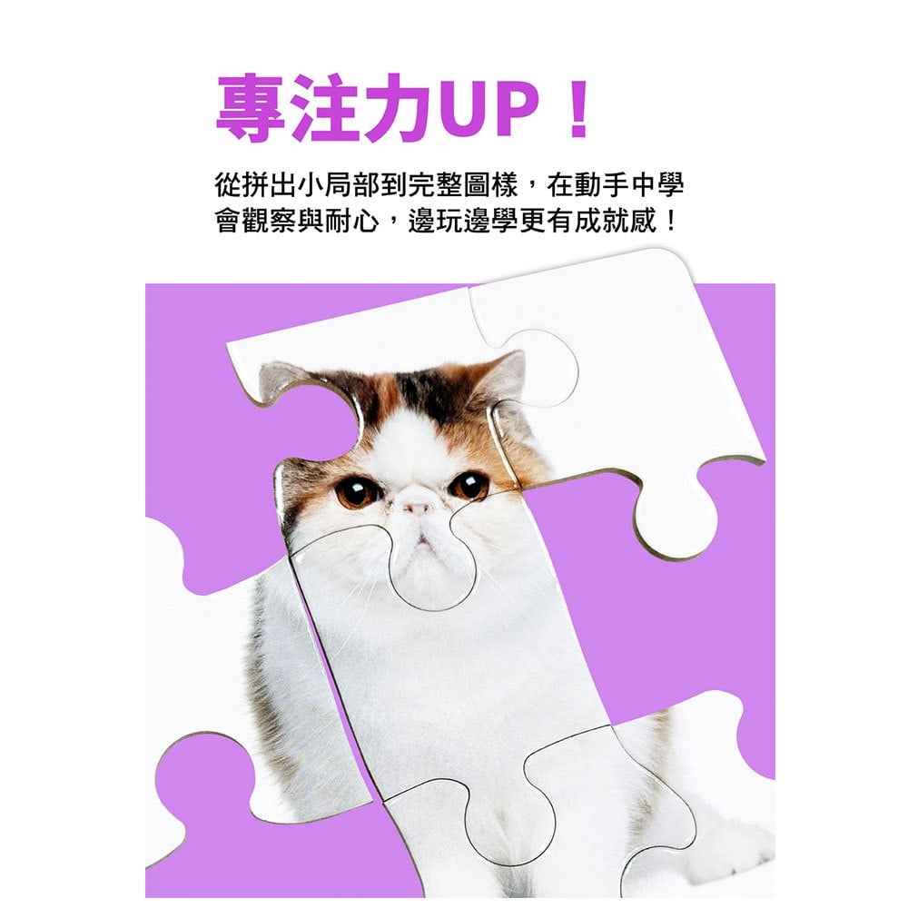 Baby's動腦小拼圖:可愛動物