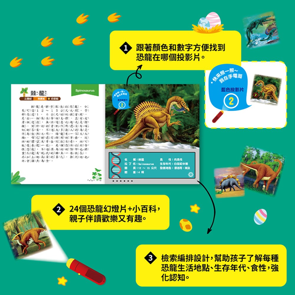 手電筒投影小百科-恐龍