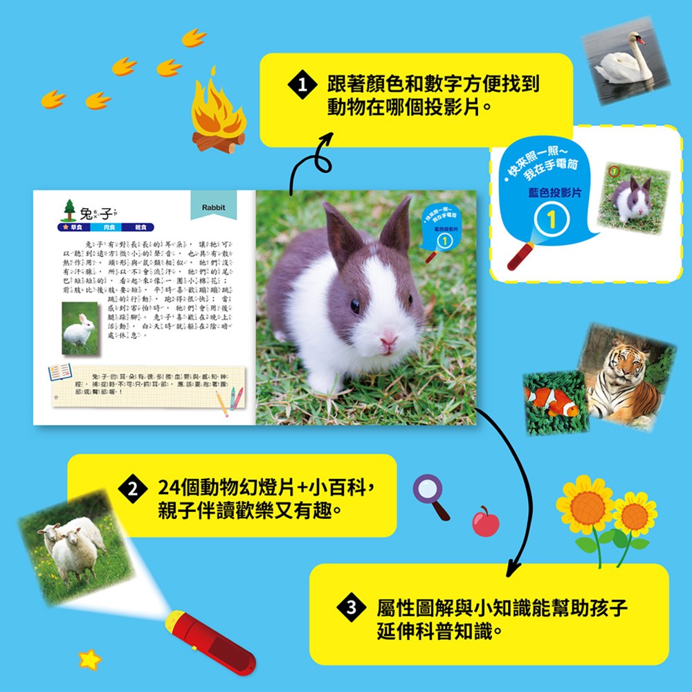 手電筒投影小百科-動物