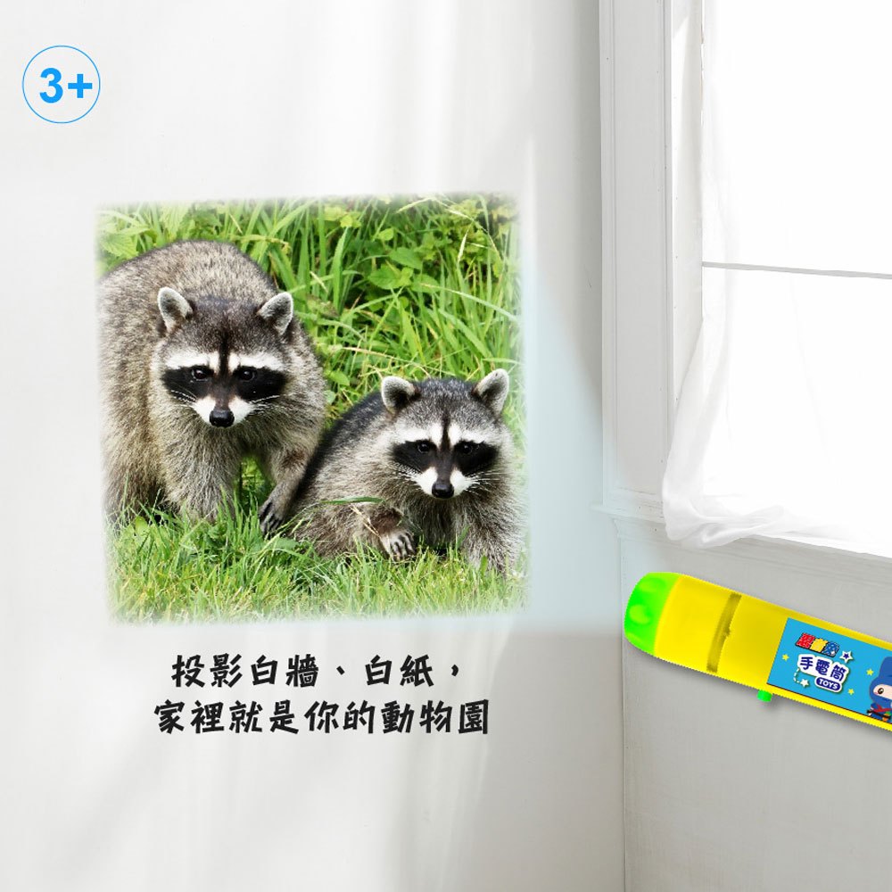 手電筒投影動物圖鑑百科