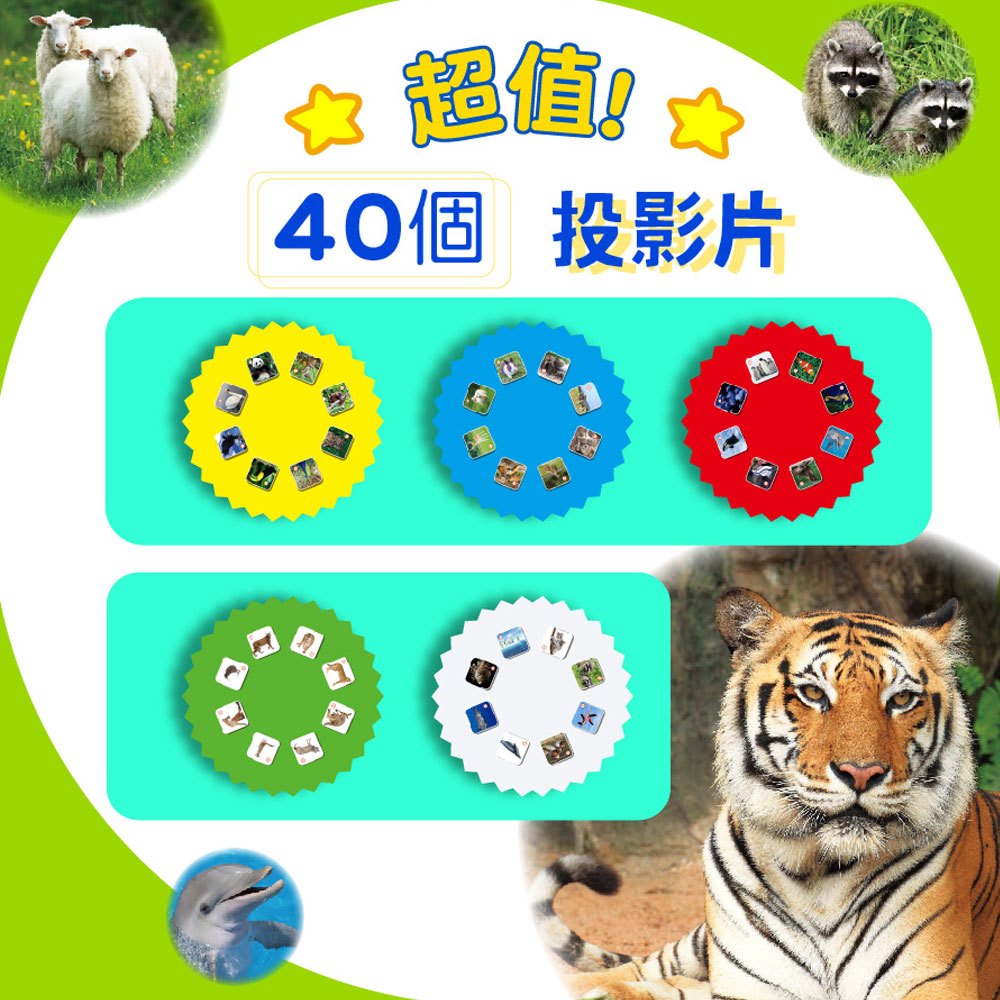 手電筒投影動物圖鑑百科