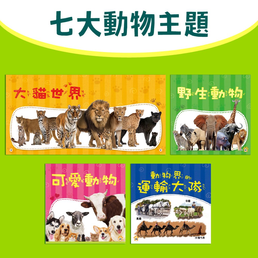 手電筒投影動物圖鑑百科