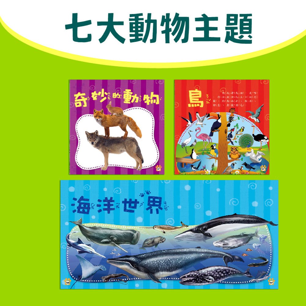 手電筒投影動物圖鑑百科