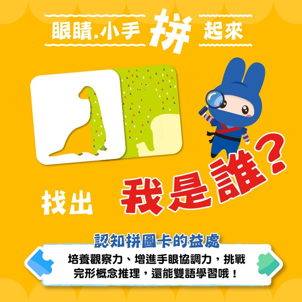 認知拼圖卡:恐龍點一點