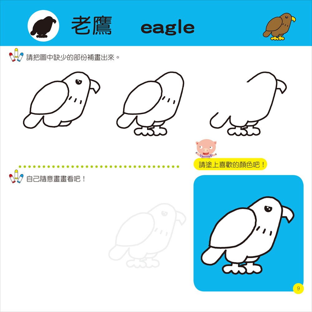 隨心所欲1234學畫畫-鳥類王國