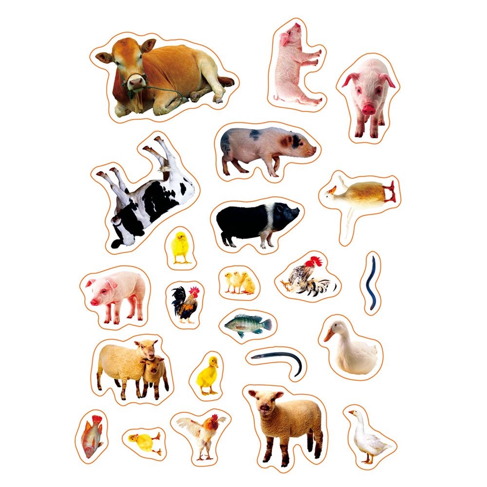 動物200mini貼紙書