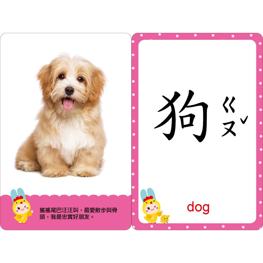 忍者兔幼兒認知啟蒙圖卡:動物世界【附精美收納袋+白板筆】