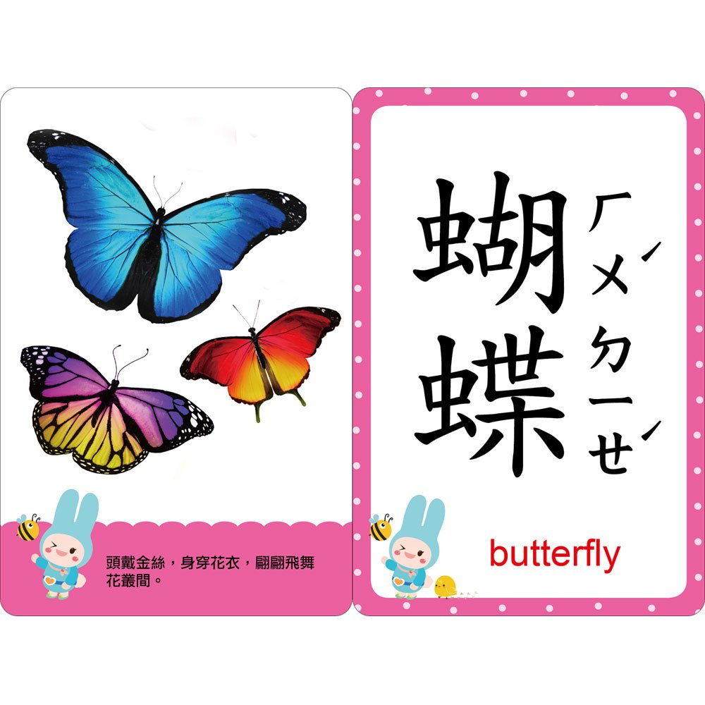 忍者兔幼兒認知啟蒙圖卡:昆蟲鳥類【附精美收納袋+白板筆】