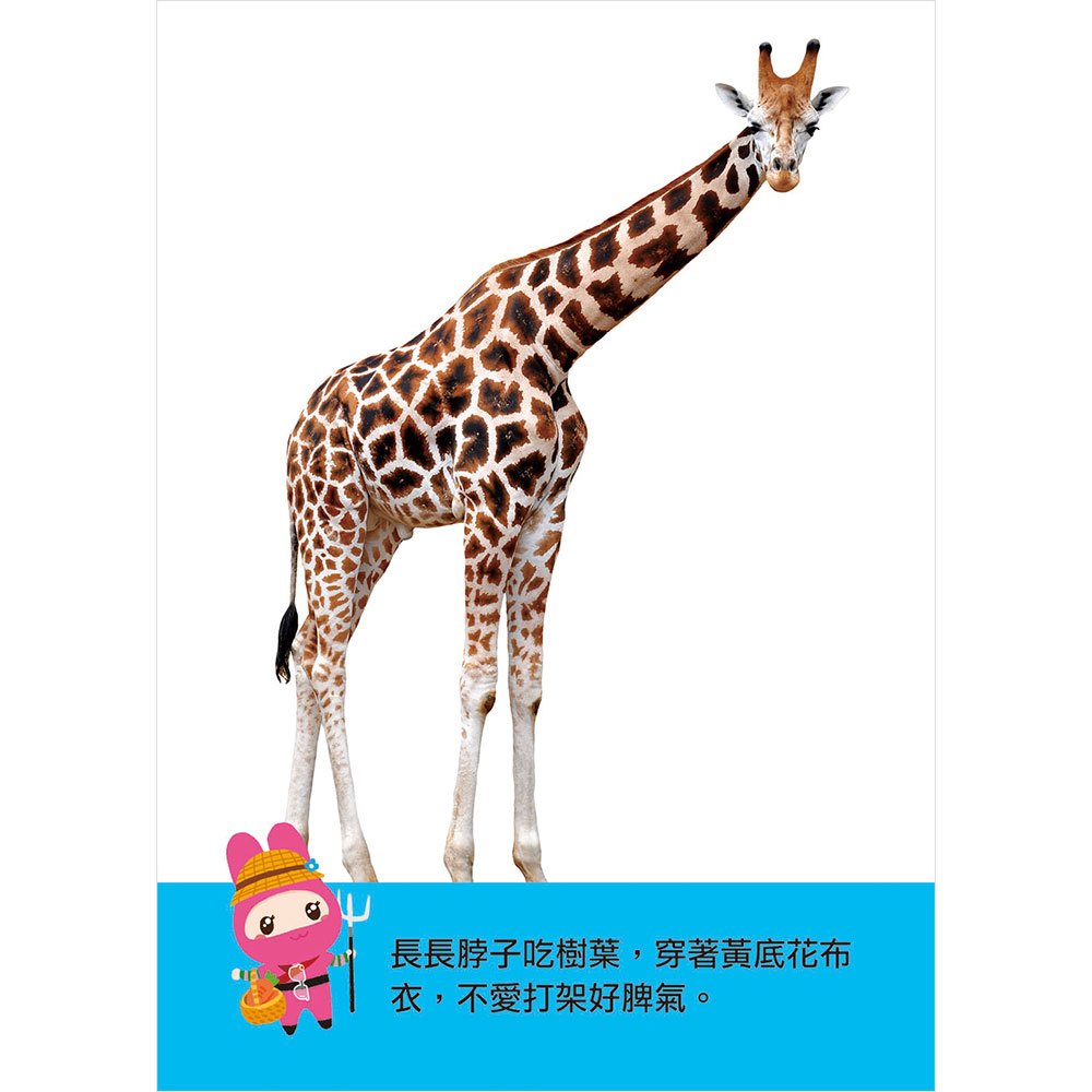 忍者兔認知學習圖卡：動物世界【40張雙面全彩圖卡+收納鐵盒】