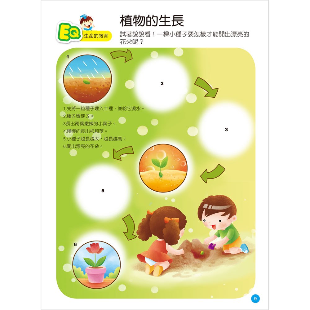 EQ貼紙遊戲書(5~6歲)