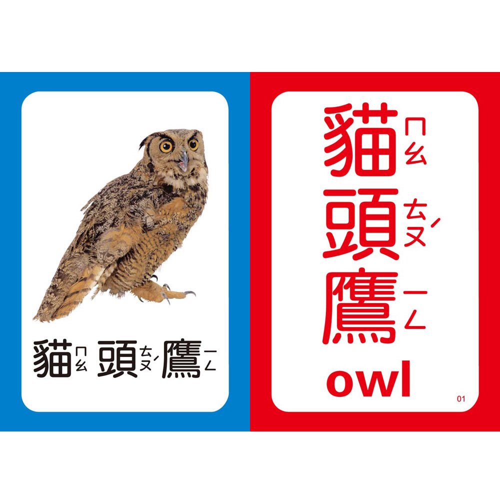 Baby IQ圖卡－鳥類昆蟲