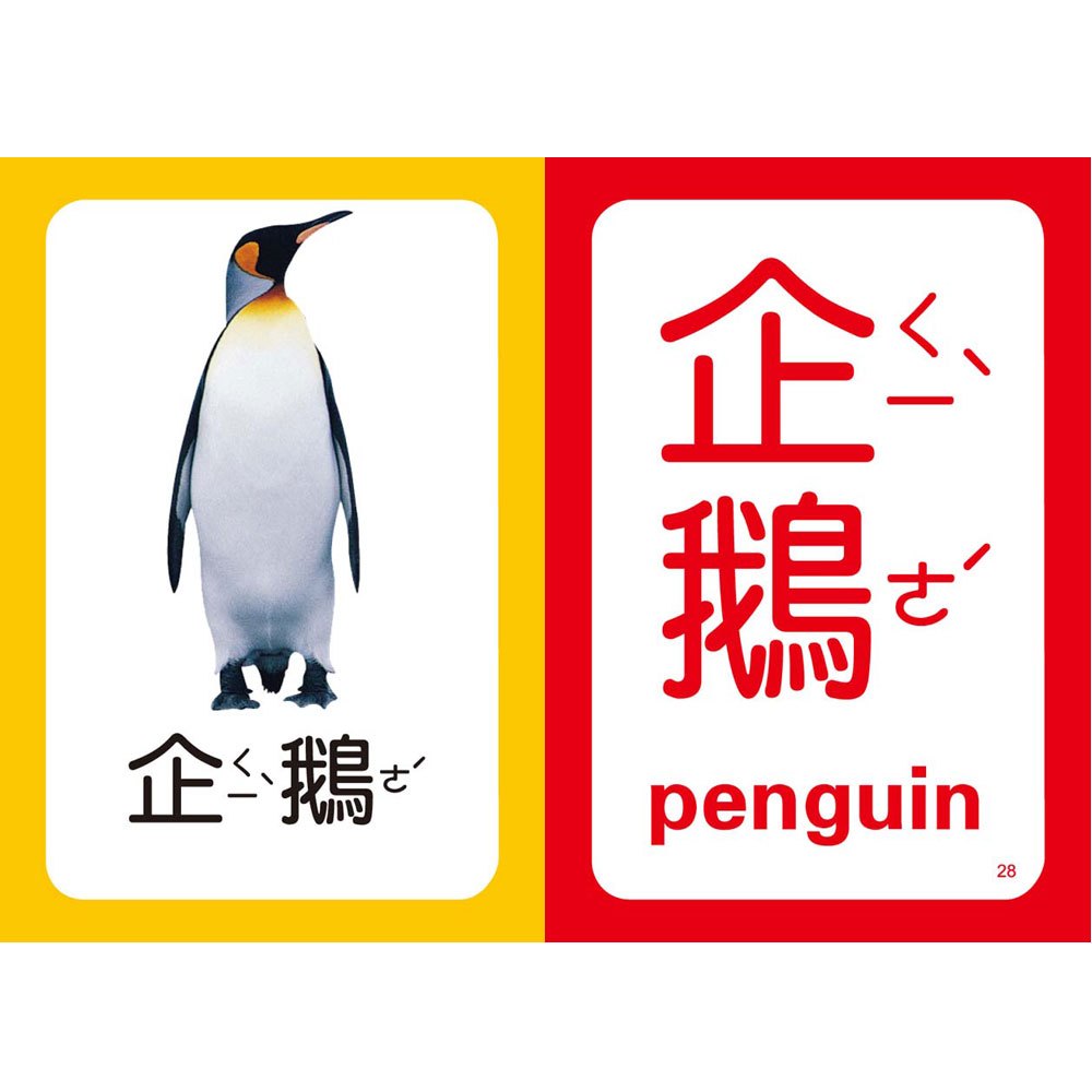 Baby IQ圖卡－鳥類昆蟲