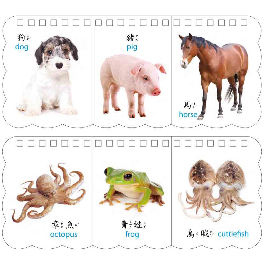 樂翻學習認知卡《動物王國》