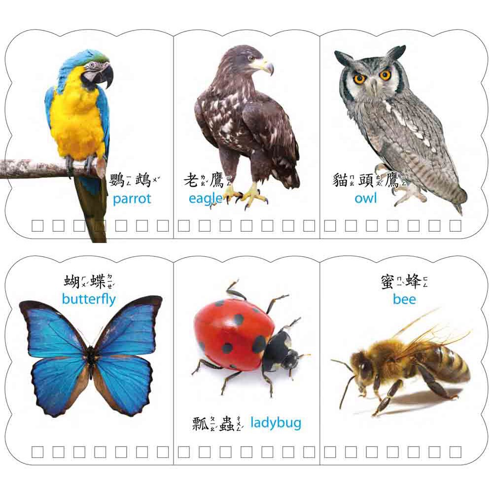 樂翻學習認知卡《動物王國》