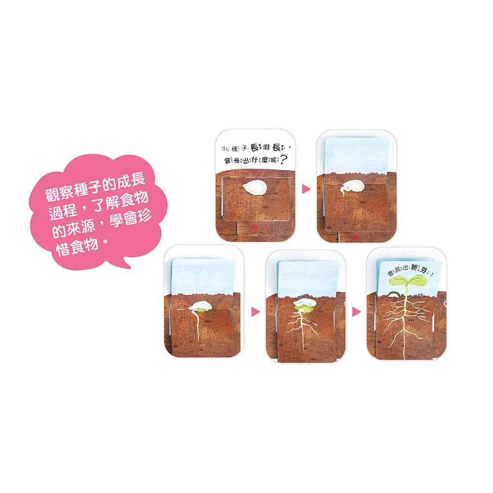 我的「食育」立體遊戲操作書【全套四冊+親子共讀引導手冊】