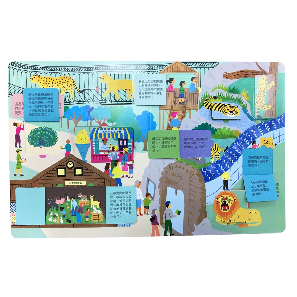 STEAM全知識翻翻書:逛逛動物園