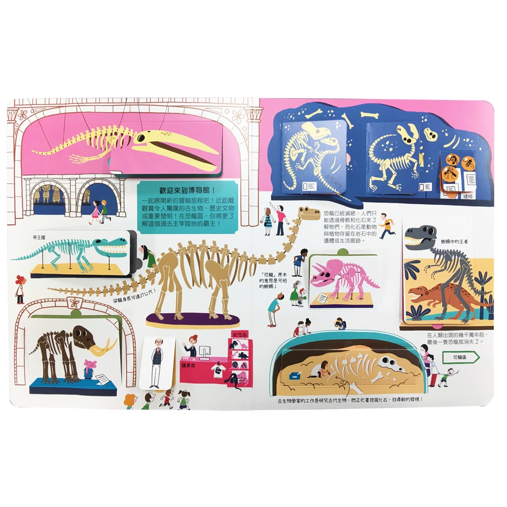 STEAM全知識翻翻書:逛逛博物館