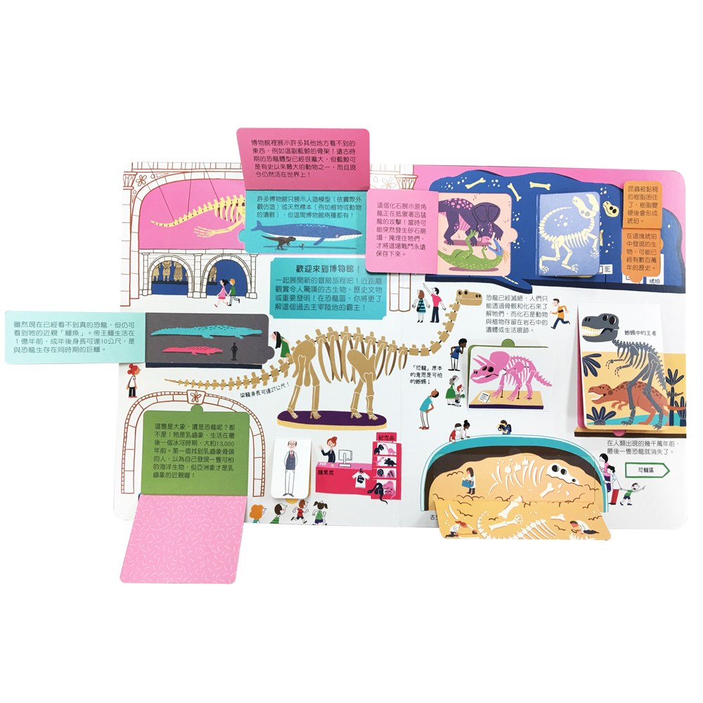 STEAM全知識翻翻書:逛逛博物館