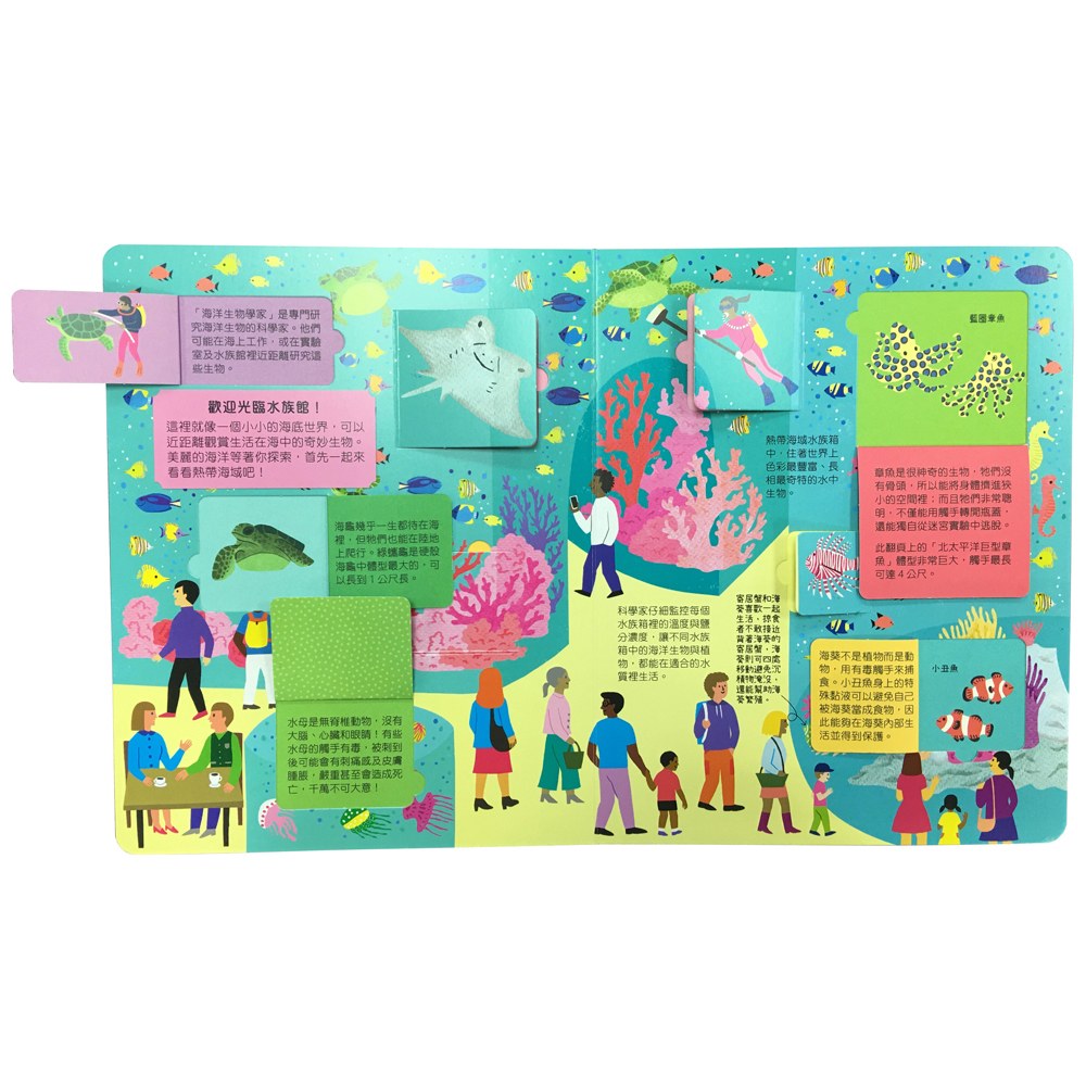 STEAM全知識翻翻書:逛逛水族館