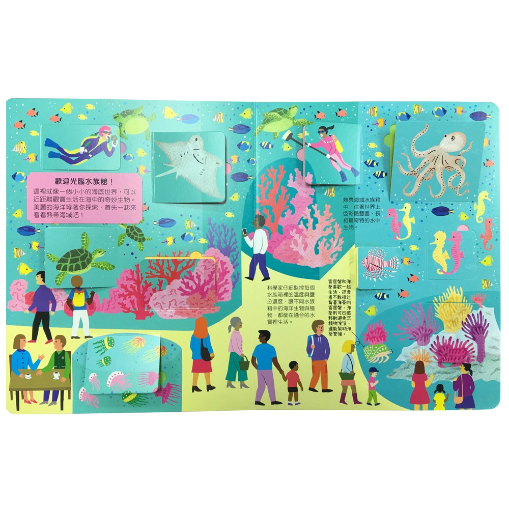 STEAM全知識博物館翻翻書【全套五冊】