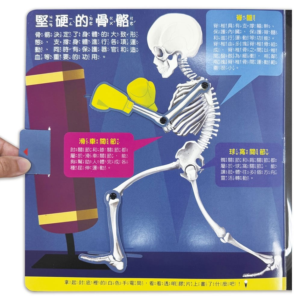 藏在身體的祕密【兒童生理啟蒙3D立體書】