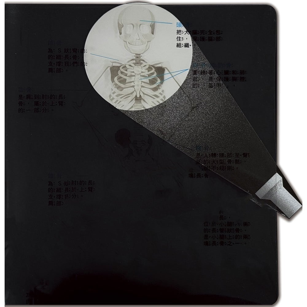 藏在身體的祕密【兒童生理啟蒙3D立體書】