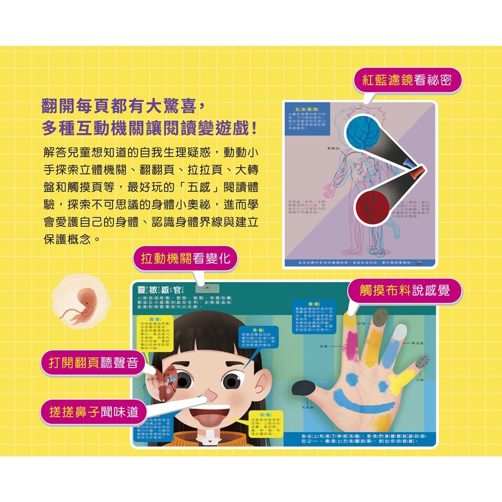 藏在身體的祕密【兒童生理啟蒙3D立體書】