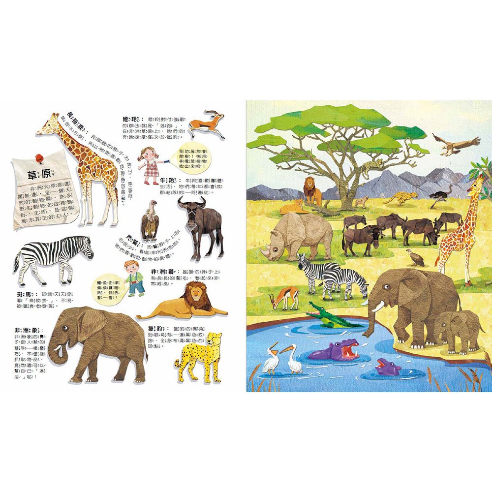 Fun！神奇膠片手電筒：野生動物