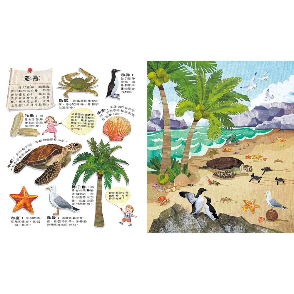 Fun！神奇膠片手電筒：海洋探祕