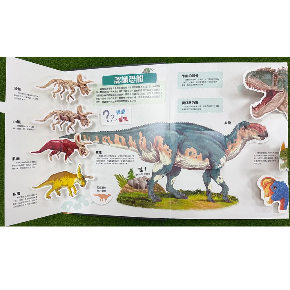 大知識大百科3D立體書：大恐龍