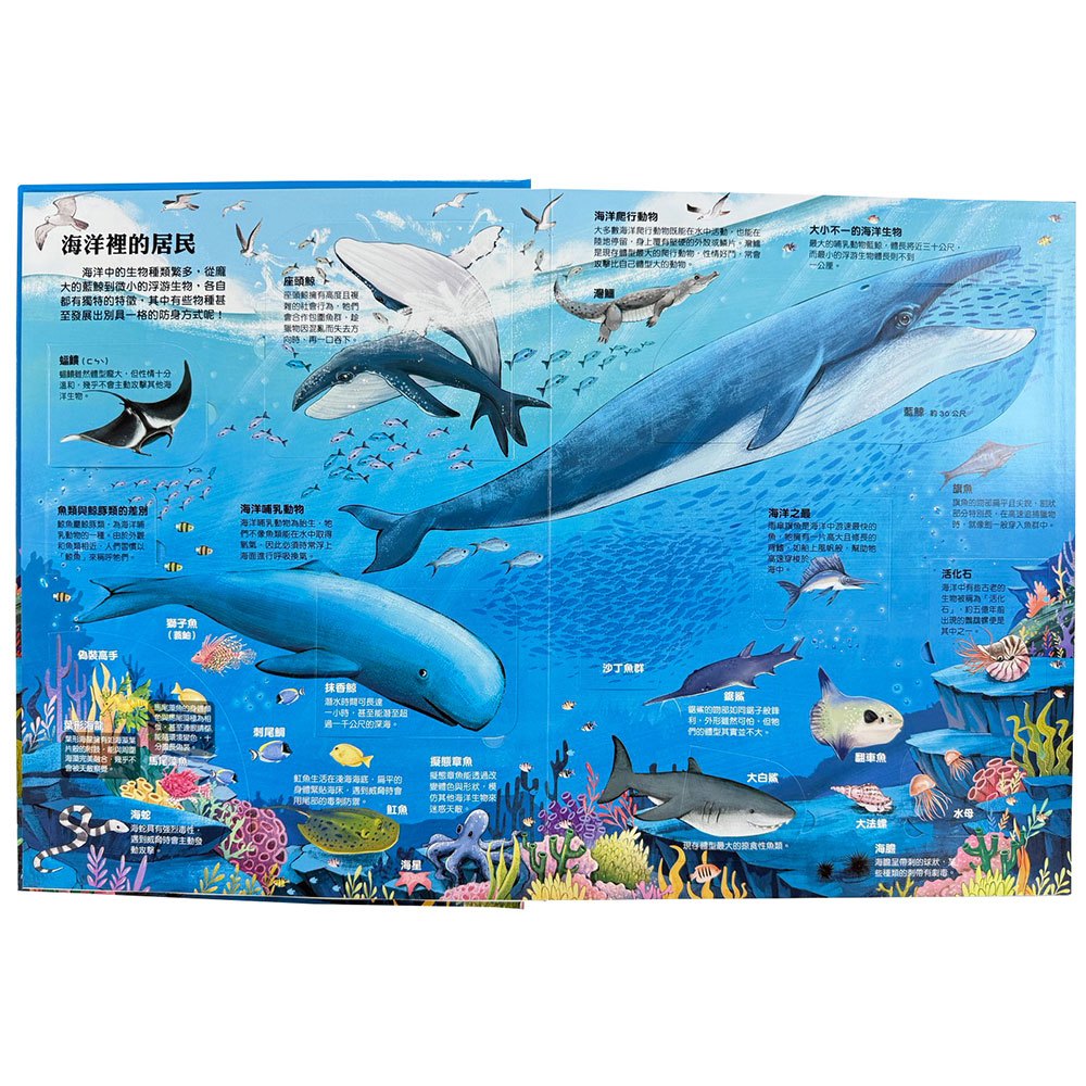 大知識大百科3D立體書：大海洋