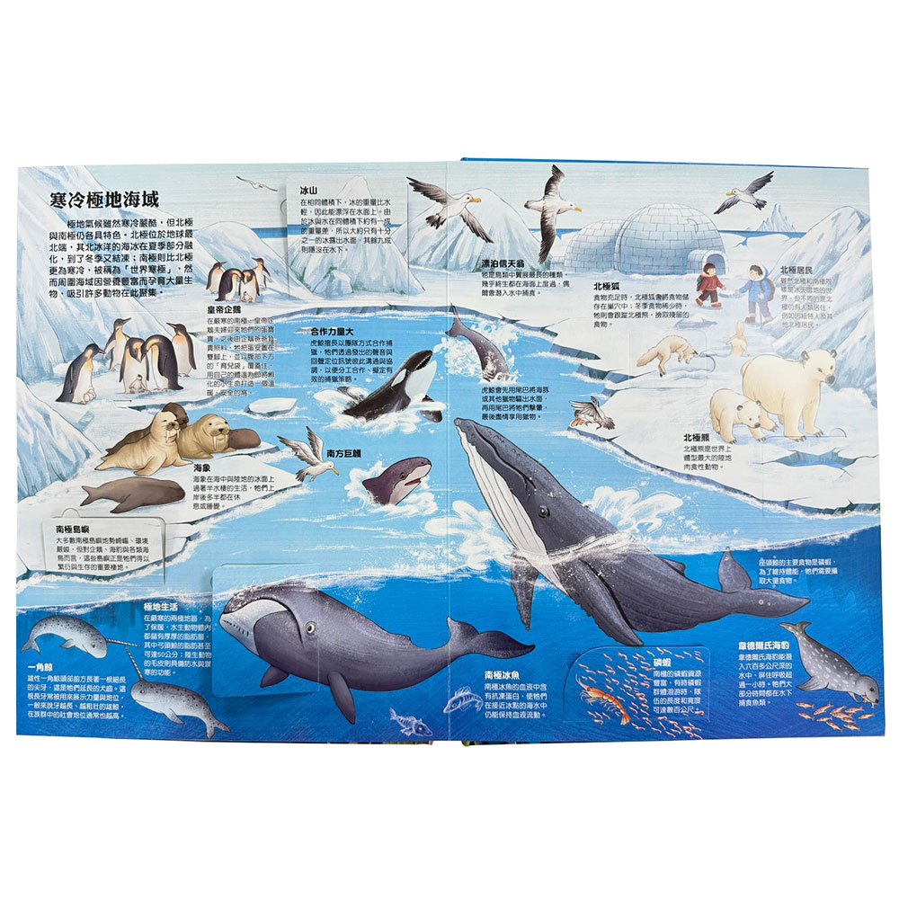 大知識大百科3D立體書：大海洋